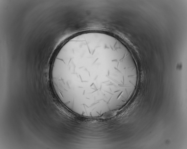 X0000097901222200804041430