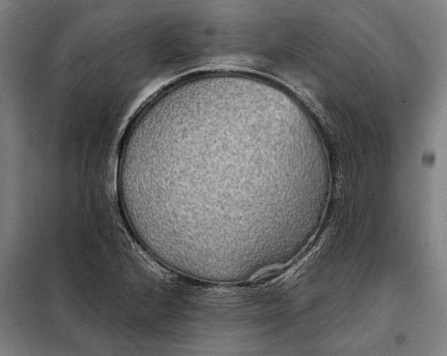 X0000097901224200804041430