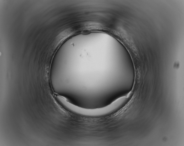 X0000097901225200804041430