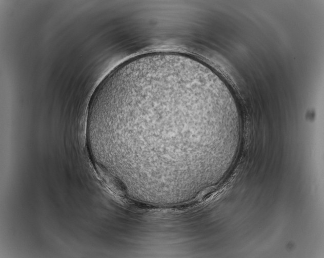 X0000097901228200804041430