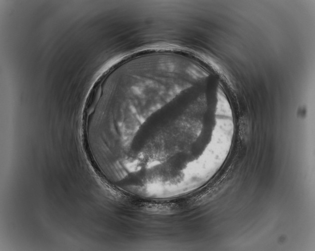 X0000097901229200804041430