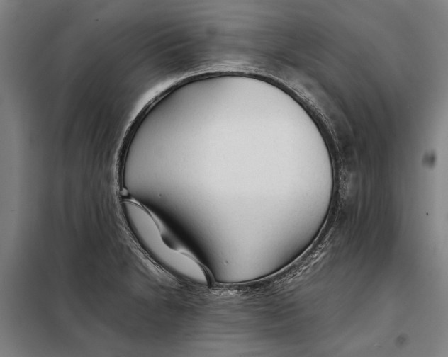 X0000097901230200804041430