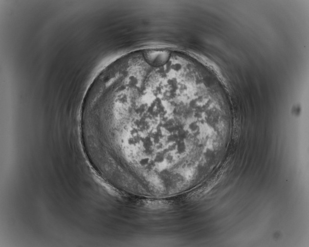 X0000097901231200804041430