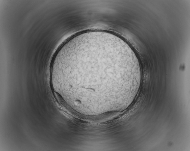 X0000097901232200804041430