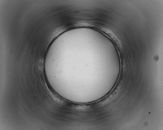 X0000097901233200804041430