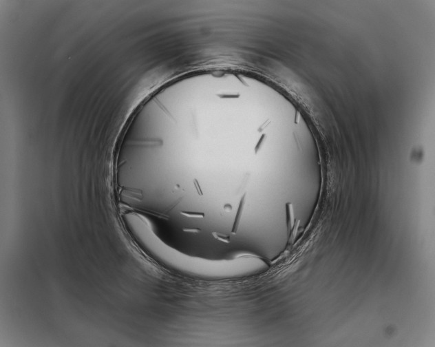 X0000097901234200804041430