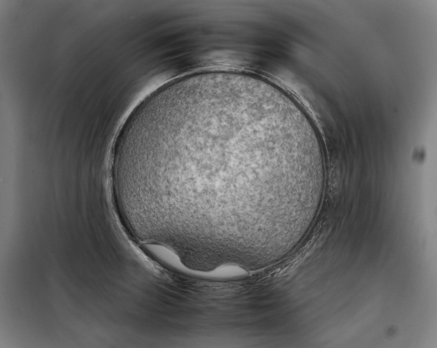 X0000097901235200804041430