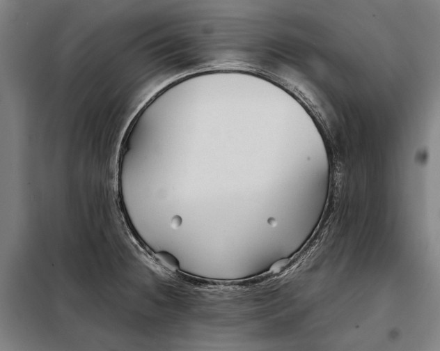 X0000097901236200804041430