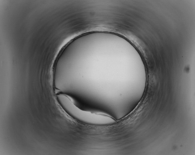 X0000097901238200804041430