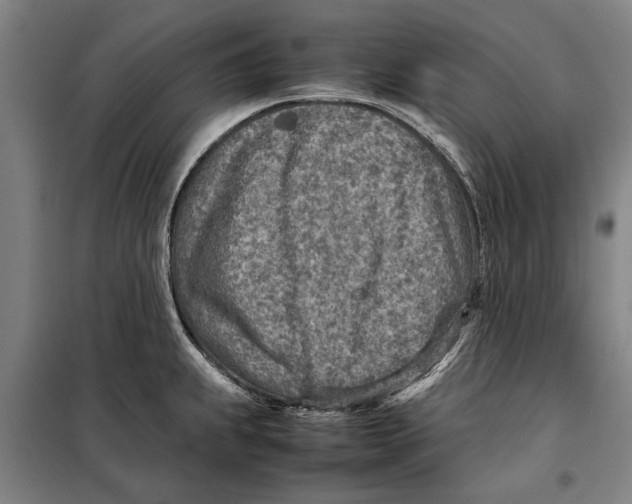 X0000097901239200804041430