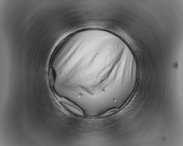 X0000097901240200804041430