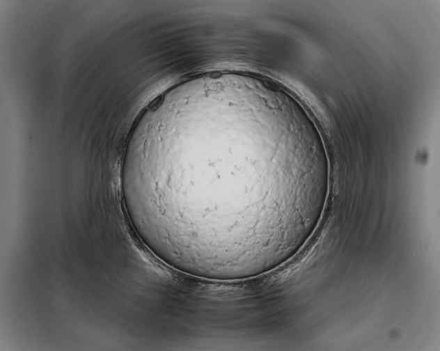 X0000097901241200804041430