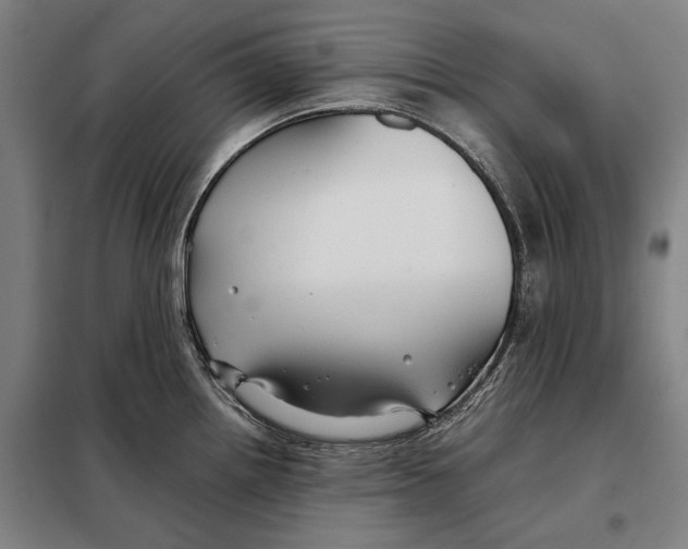 X0000097901242200804041430