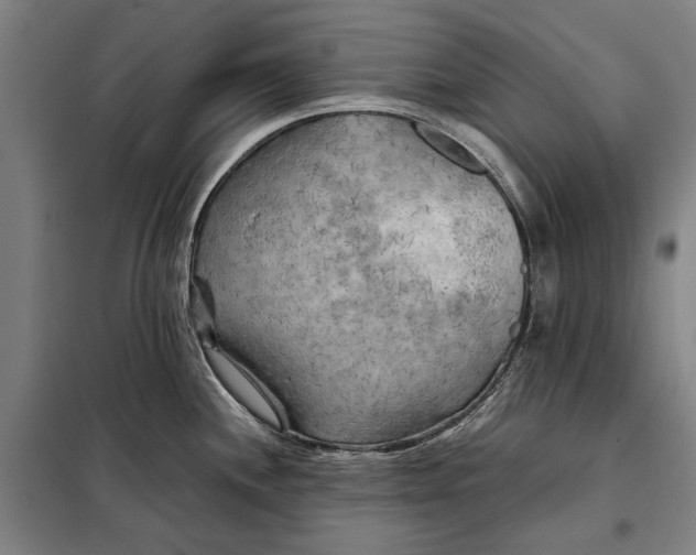 X0000097901244200804041430