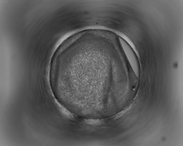 X0000097901245200804041430