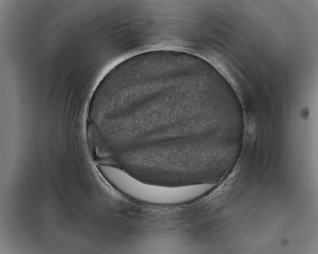 X0000097901246200804041430