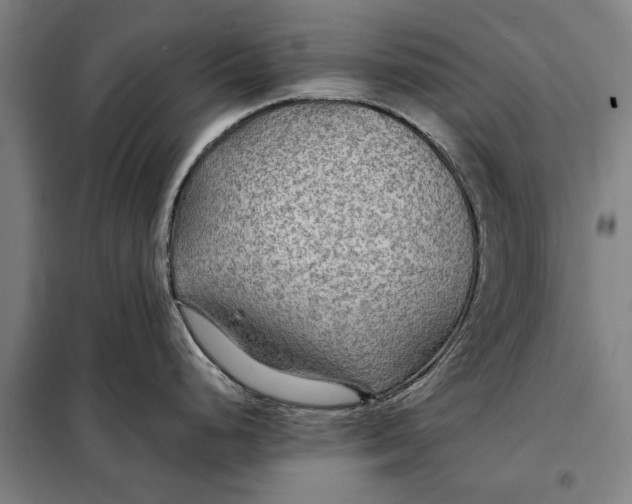 X0000097901248200804041430