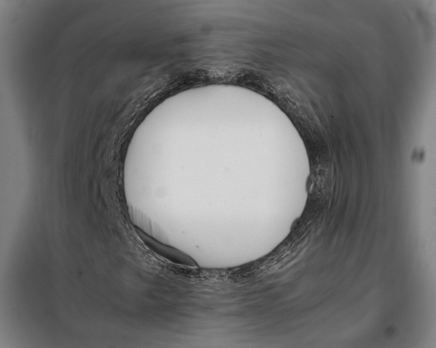 X0000097901249200804041429