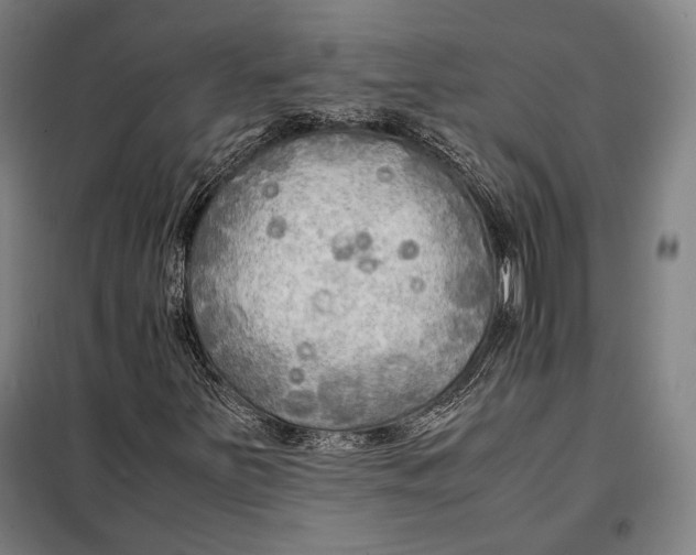 X0000097901251200804041429