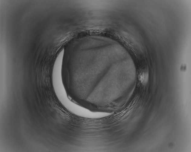 X0000097901252200804041429