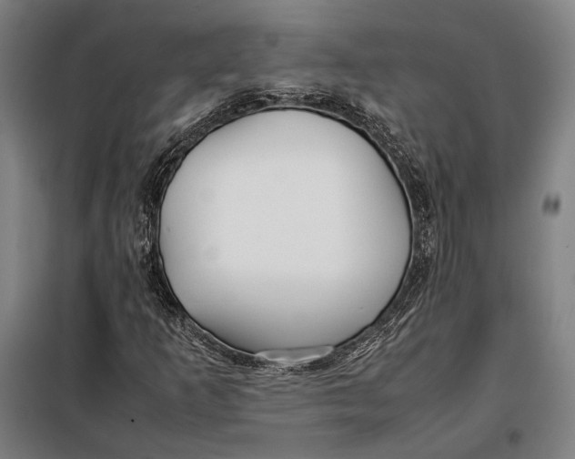 X0000097901253200804041429