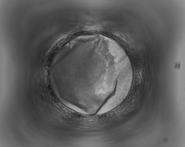 X0000097901254200804041429