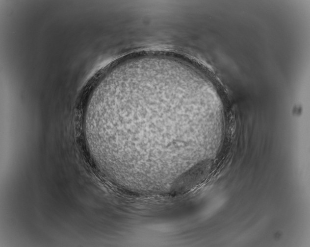 X0000097901255200804041429