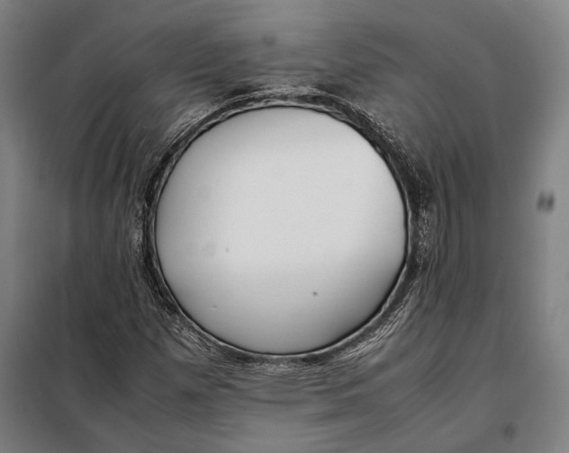 X0000097901257200804041429