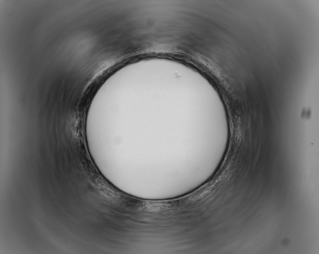 X0000097901258200804041429