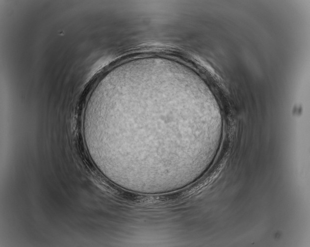 X0000097901259200804041429