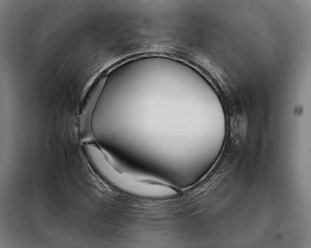 X0000097901260200804041429