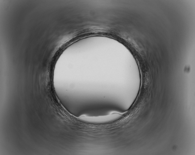 X0000097901261200804041429