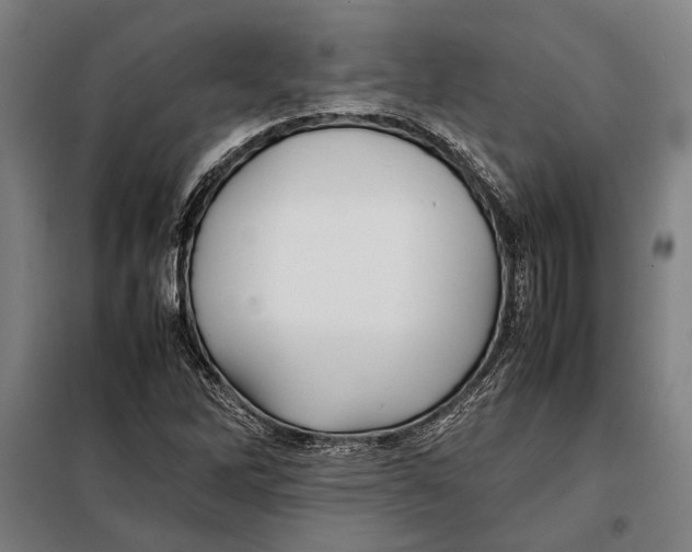 X0000097901262200804041429