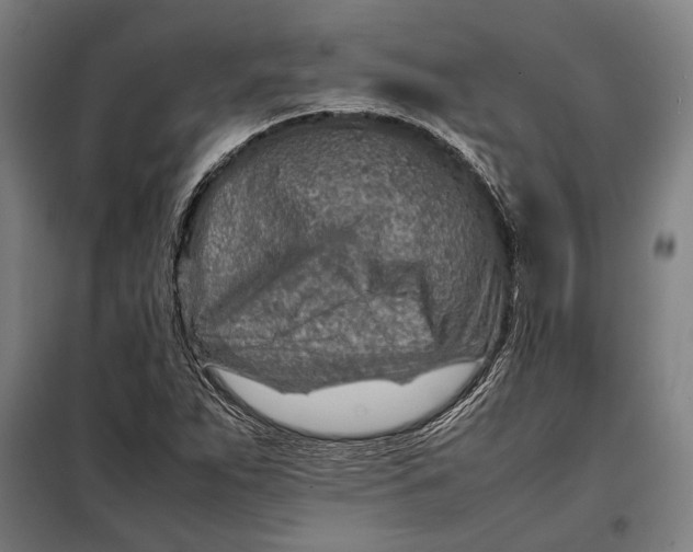 X0000097901263200804041429