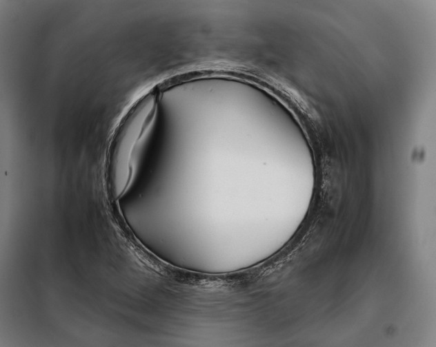 X0000097901264200804041429