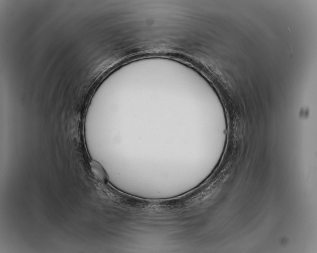 X0000097901265200804041429