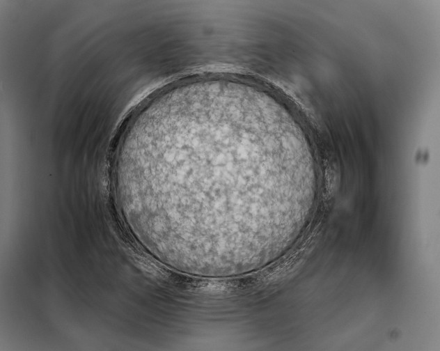 X0000097901266200804041429