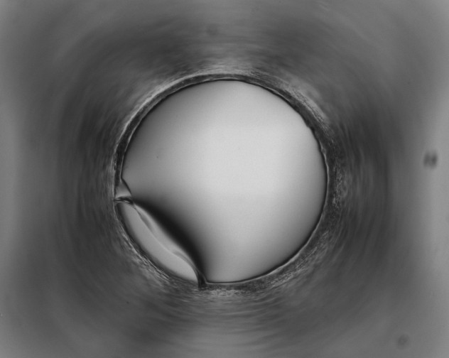 X0000097901268200804041429