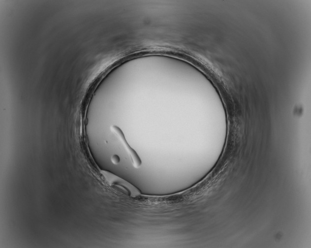 X0000097901269200804041429