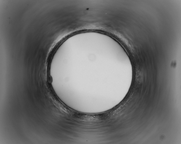 X0000097901270200804041429