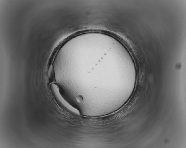 X0000097901271200804041429