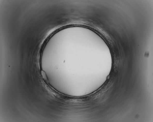 X0000097901272200804041429