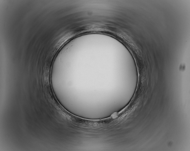 X0000097901273200804041429