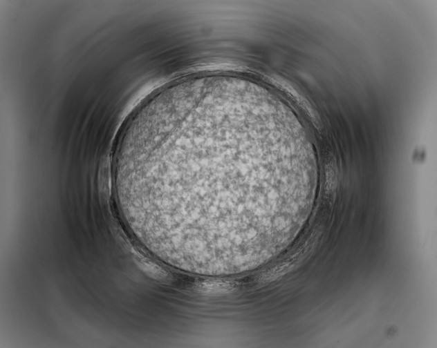 X0000097901274200804041429