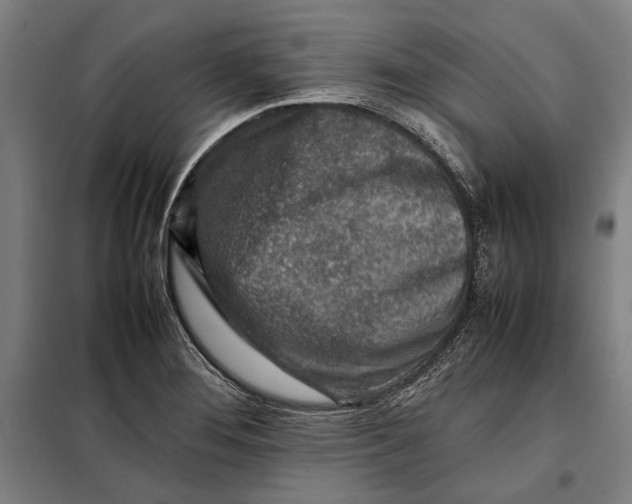 X0000097901276200804041429