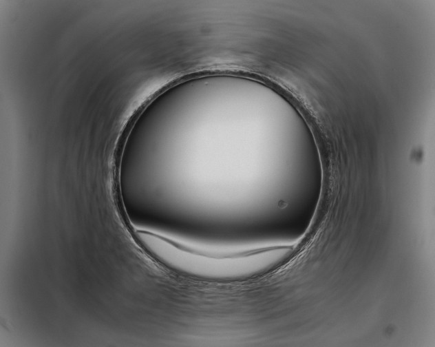 X0000097901277200804041429