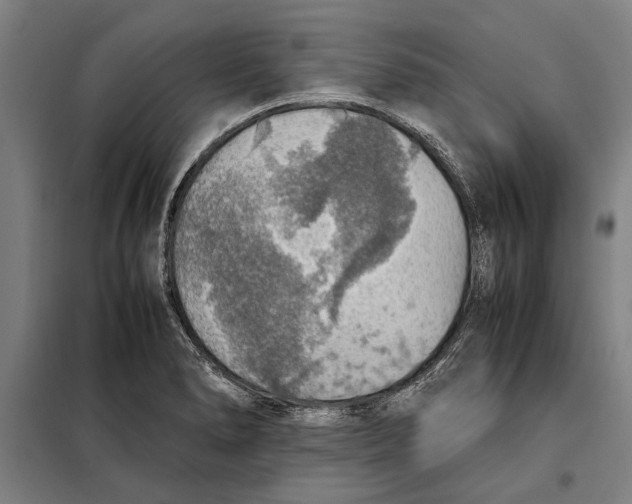 X0000097901278200804041429