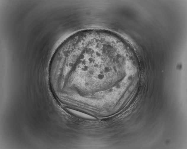 X0000097901279200804041429