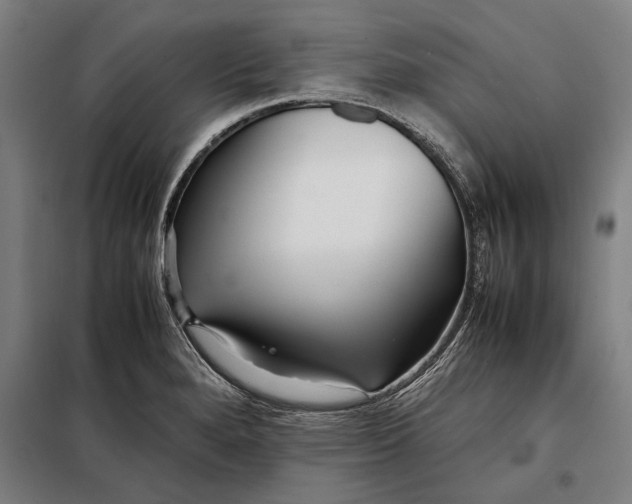 X0000097901280200804041429