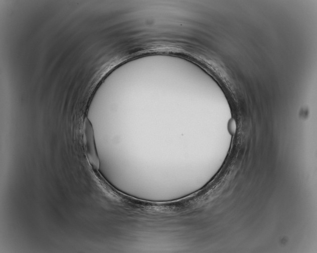 X0000097901281200804041429